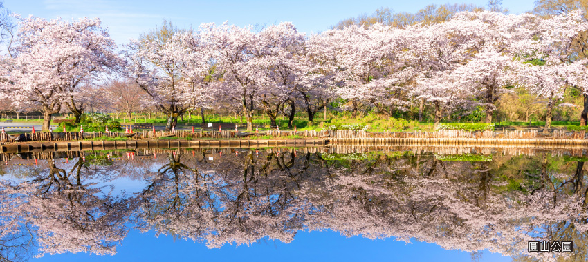 圓山公園